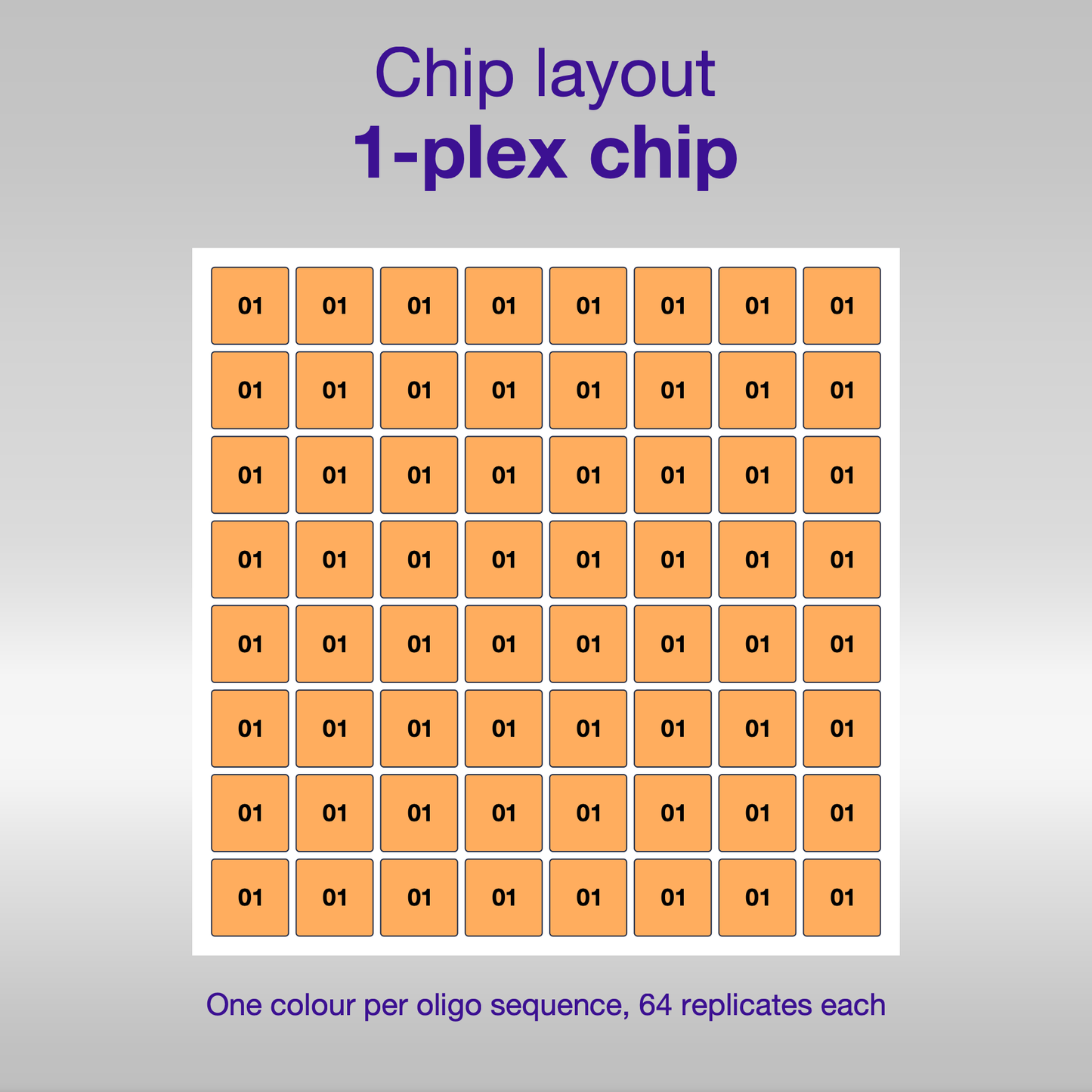 Chip layout 1-plex, one colour per oligo sequence