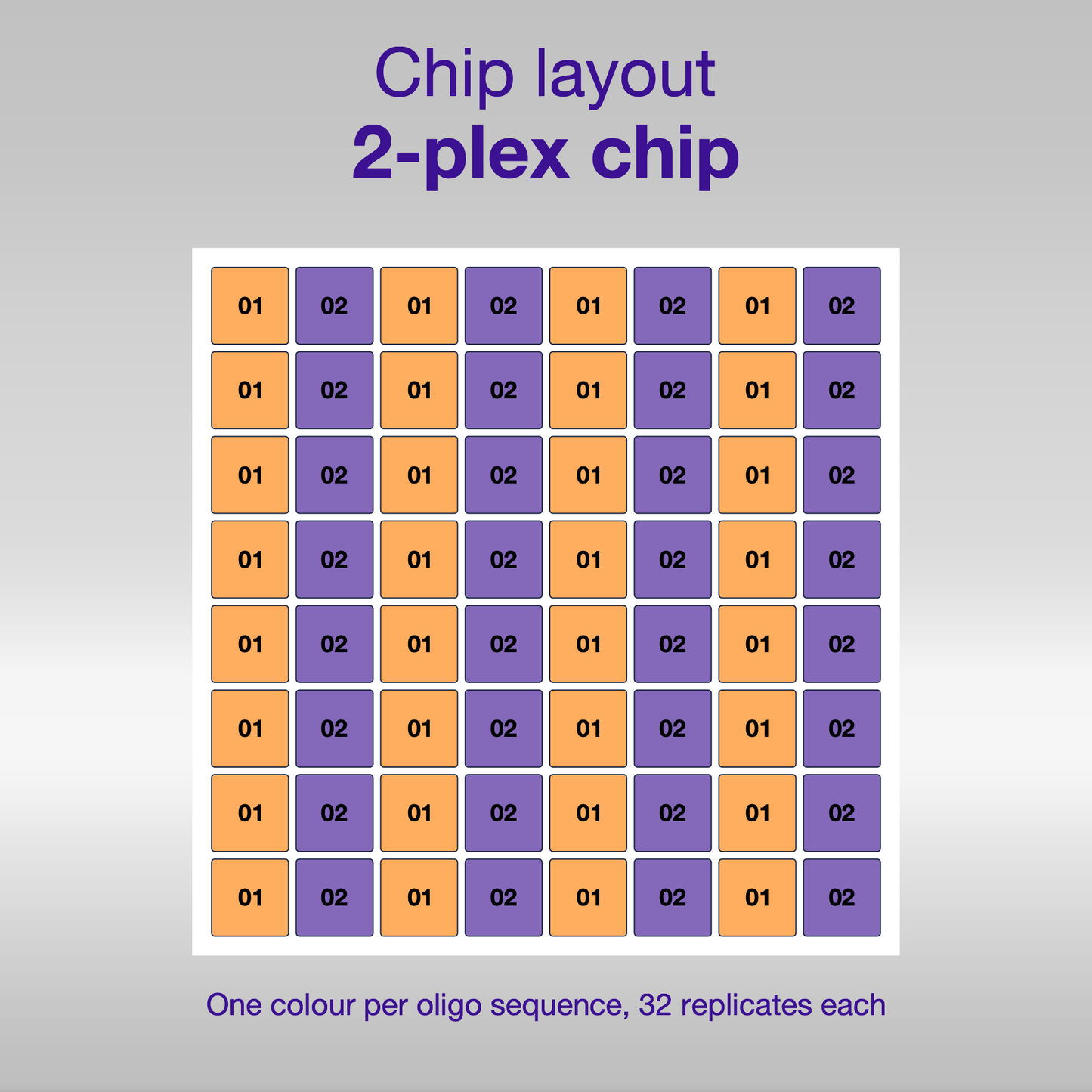 Chip layout 2-plex, one colour per oligo sequence