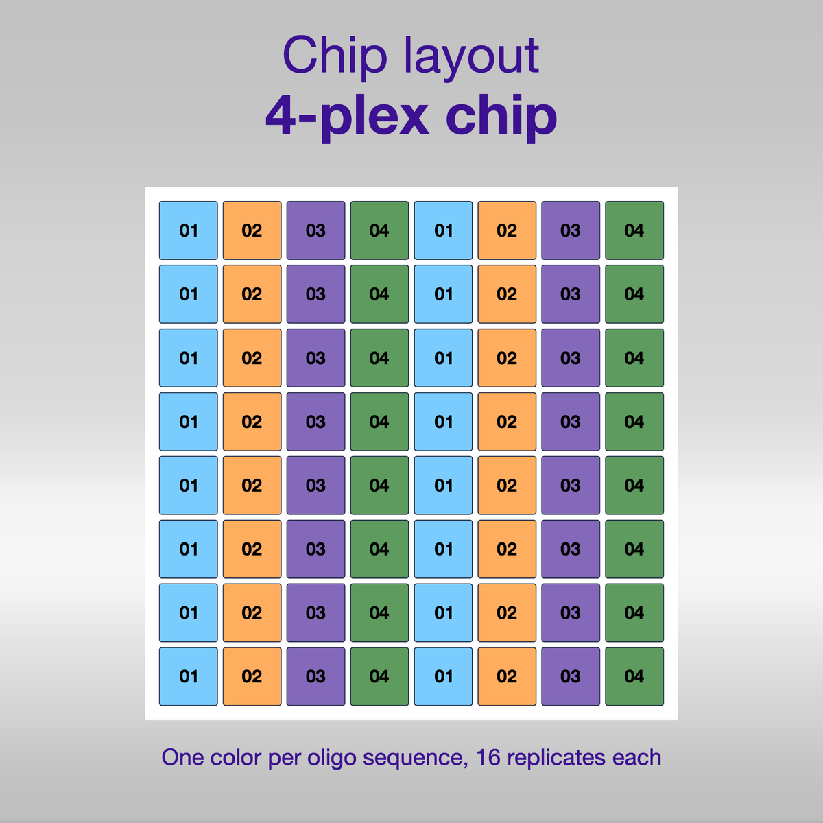 Chip layout 4-plex, one color per oligo sequence