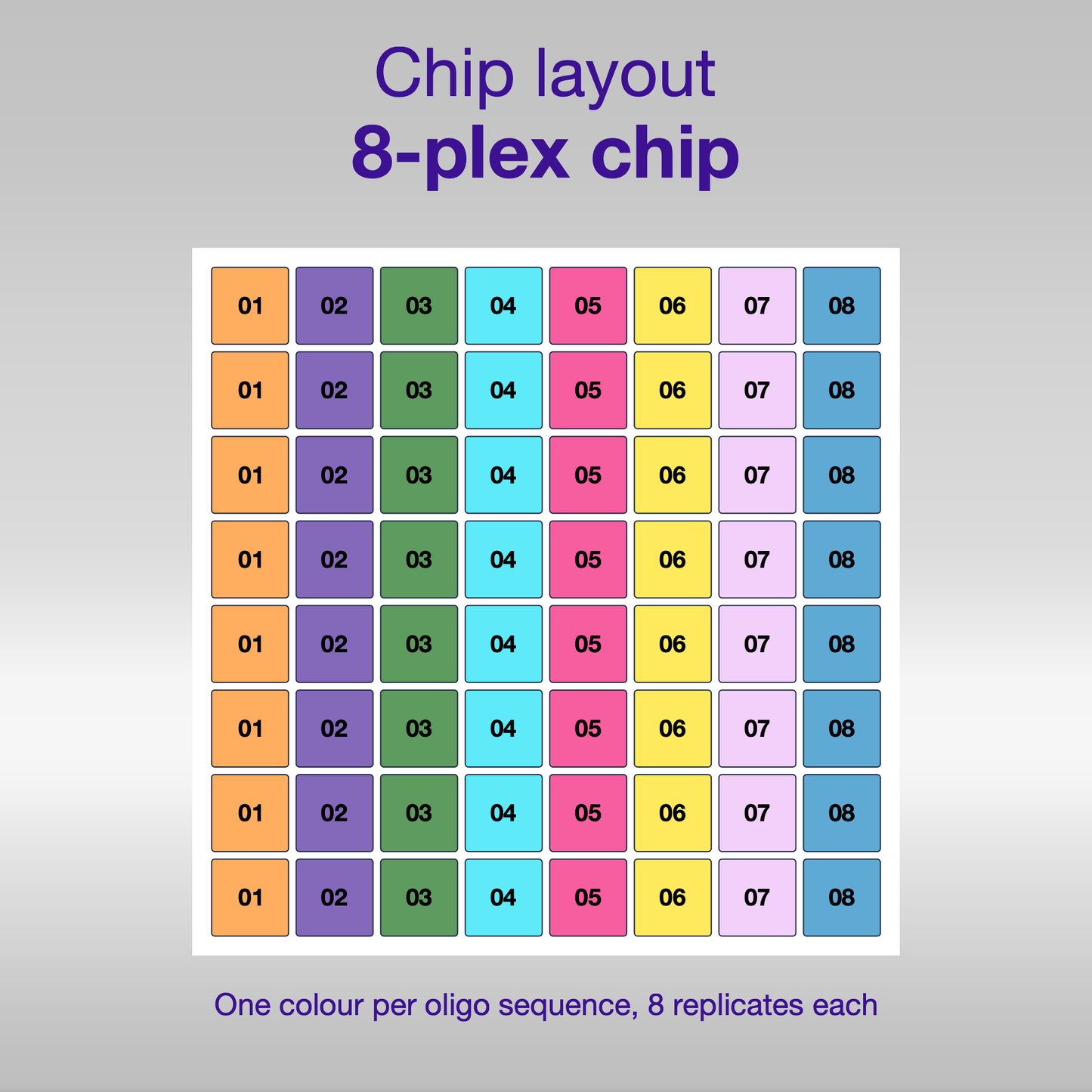 Chip layout 8-plex, sequences 1 to 8 in eight columns, 8 replicates each