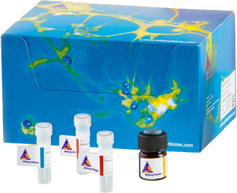 Oligonucleotide Conjugation Kit, Amine