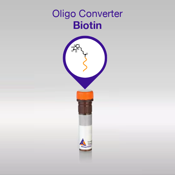 Oligo Converter Biotin
