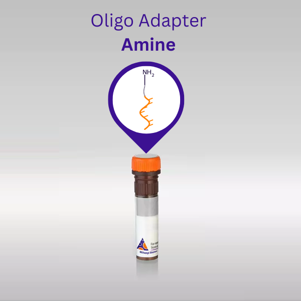 Oligo Adapter Amine vial with a schematic of the single-stranded DNA adapter carrying a terminal primary amine