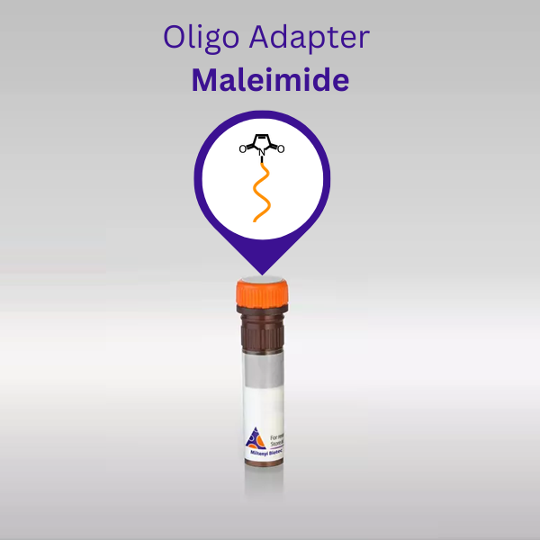 Oligo Adapter for Thiol Kit