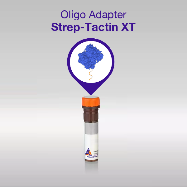 Oligo Adapter Strep-Tactin® XT