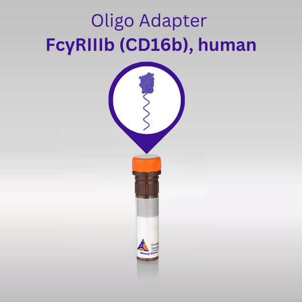 Oligo Adapter Fc gamma receptors (FcγRs)
