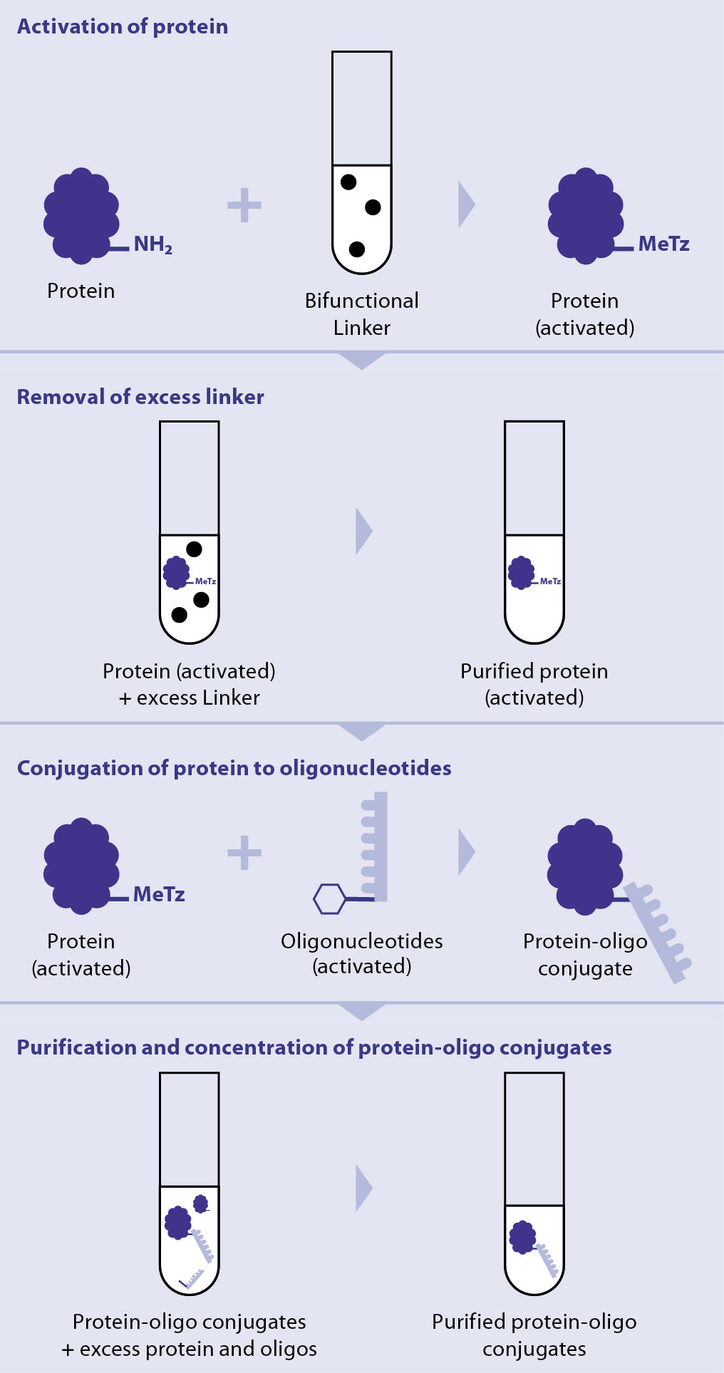 Oligonucleotide Conjugation Kit, AminoLink