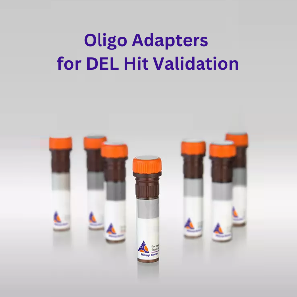 Oligonucleotide Adapters for DEL Hit Validation