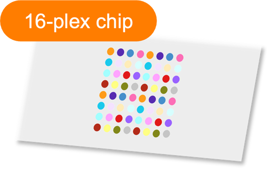 Sensor - 2D PEG - [Oligo|PEG] - 16 plex