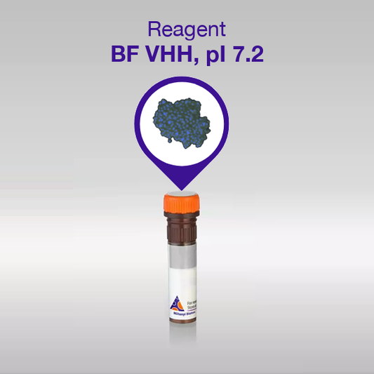BF VHH, pI 7.2