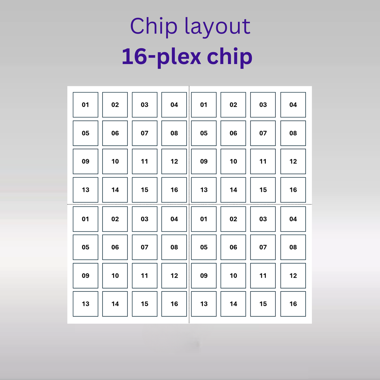 Sensor - 2D PEG - [Oligo|Oligo] - 16 plex