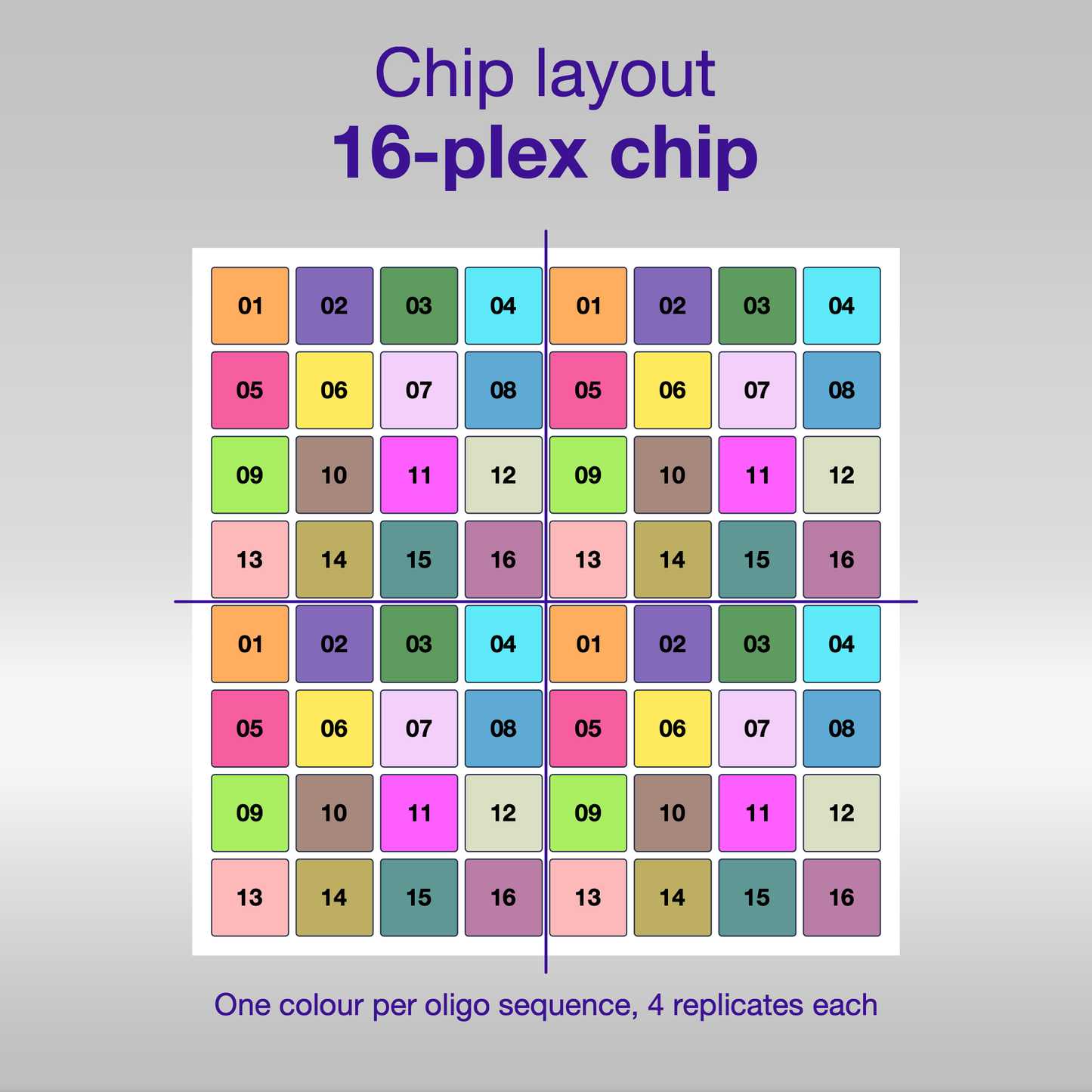 Chip layout 16-plex, one colour per oligo sequence
