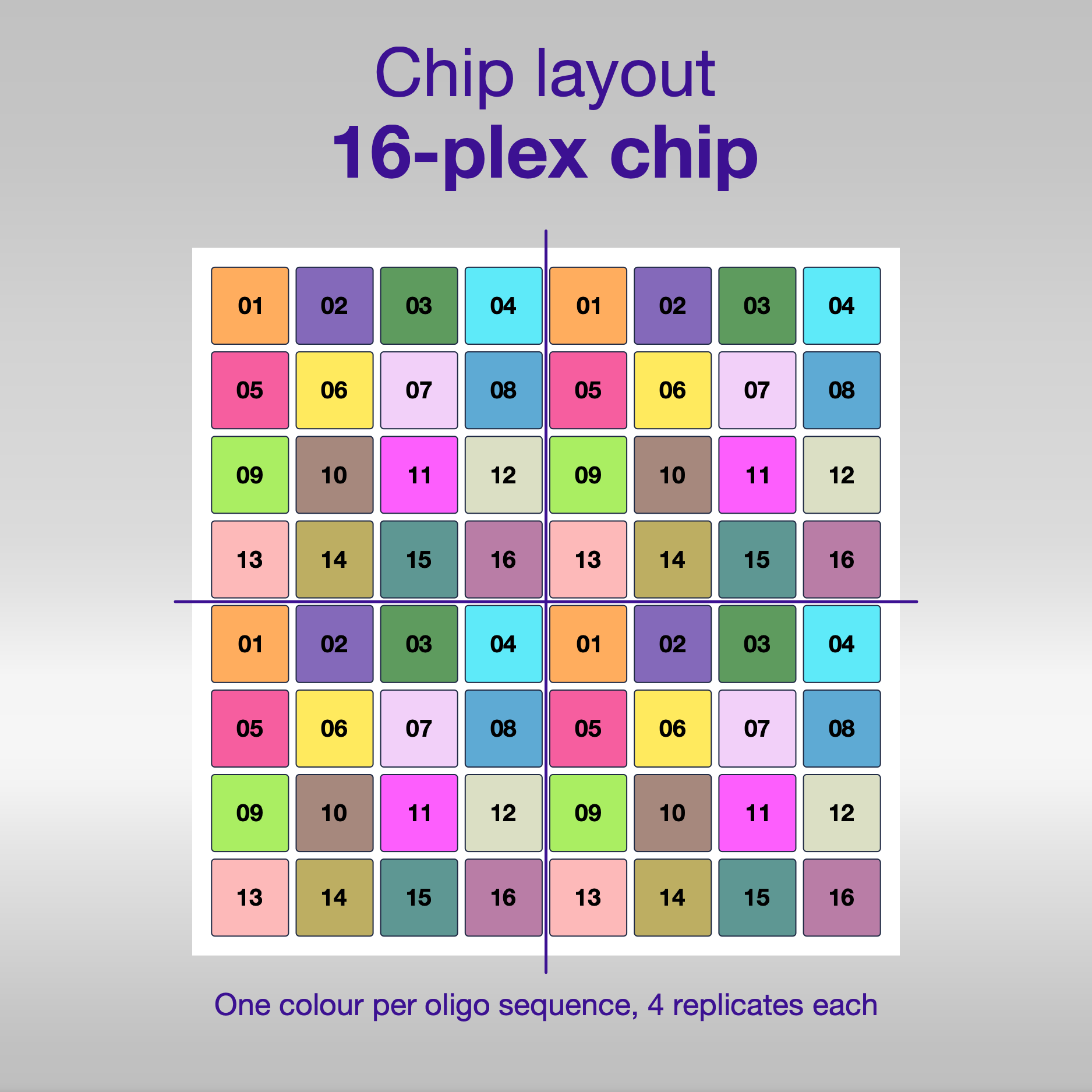 Chip layout 16-plex, one colour per oligo sequence