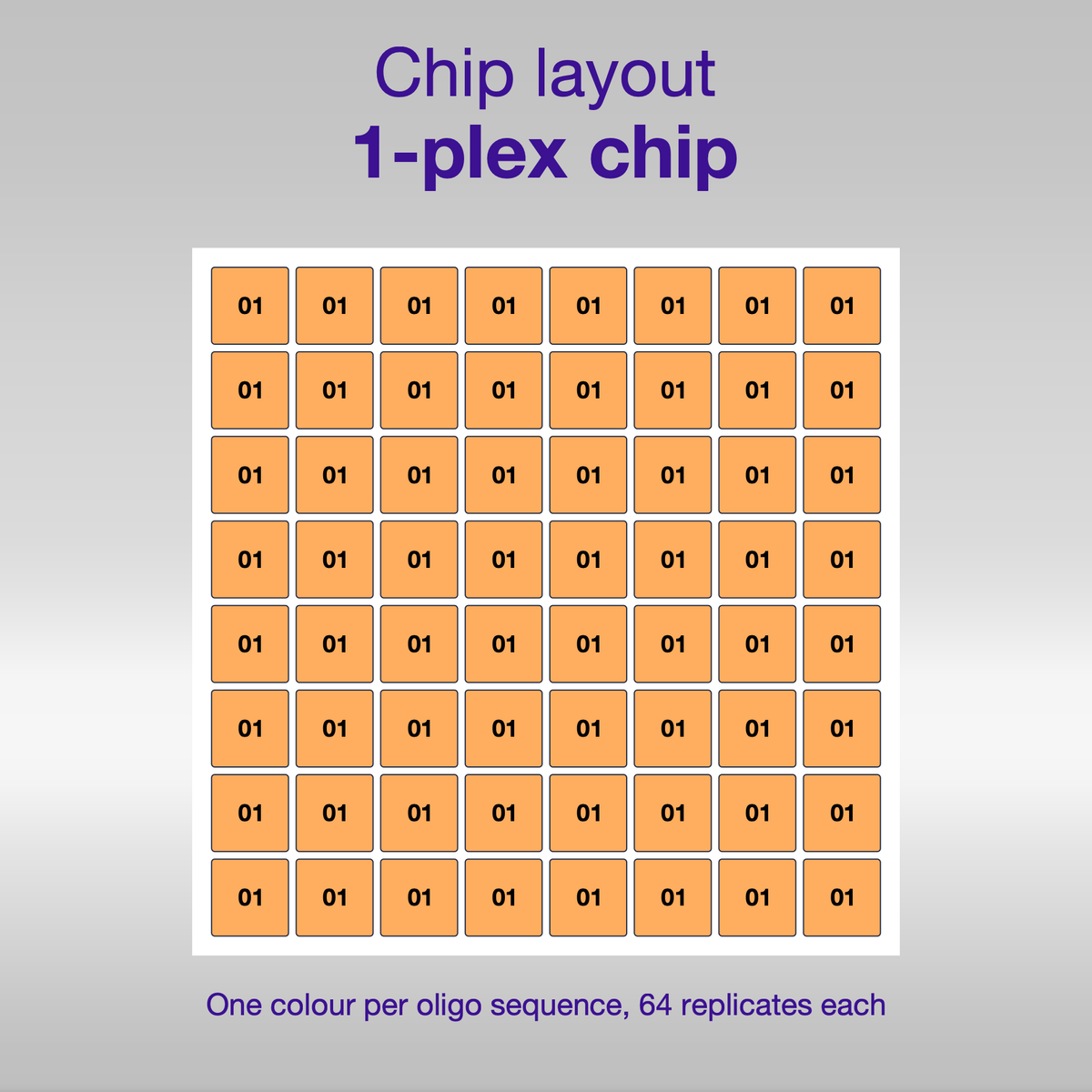 Chip layout 1-plex, one colour per oligo sequence