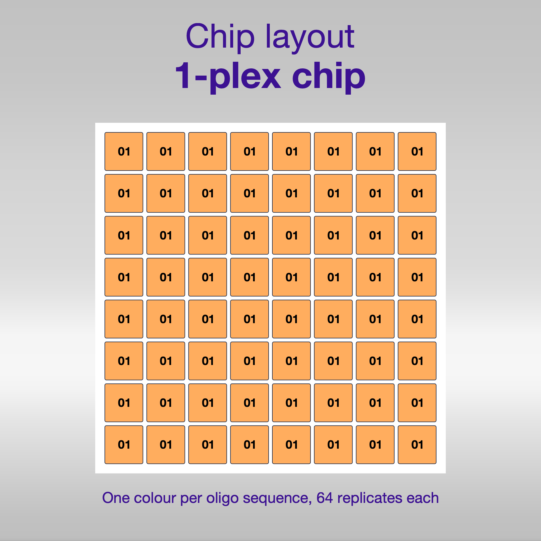 Chip layout 1-plex, one colour per oligo sequence