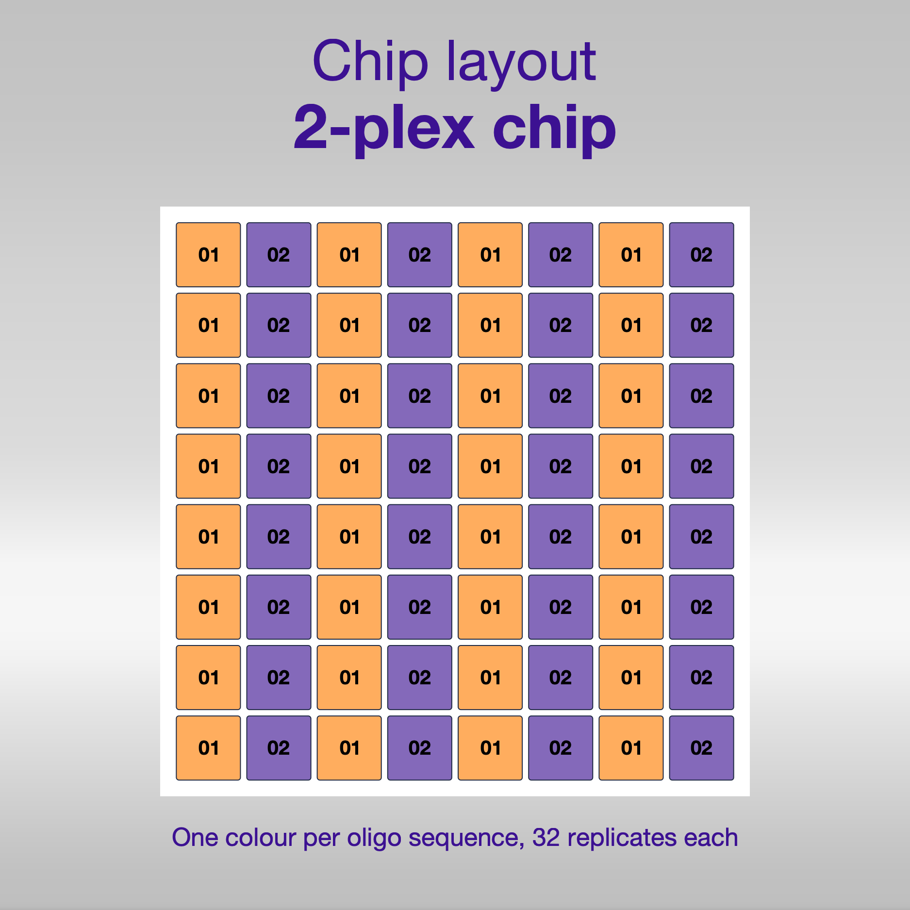 Chip layout 2-plex, one colour per oligo sequence
