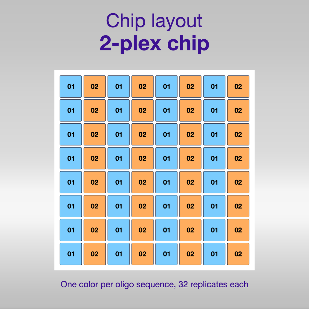 Chip layout 2-plex, one color per oligo sequence