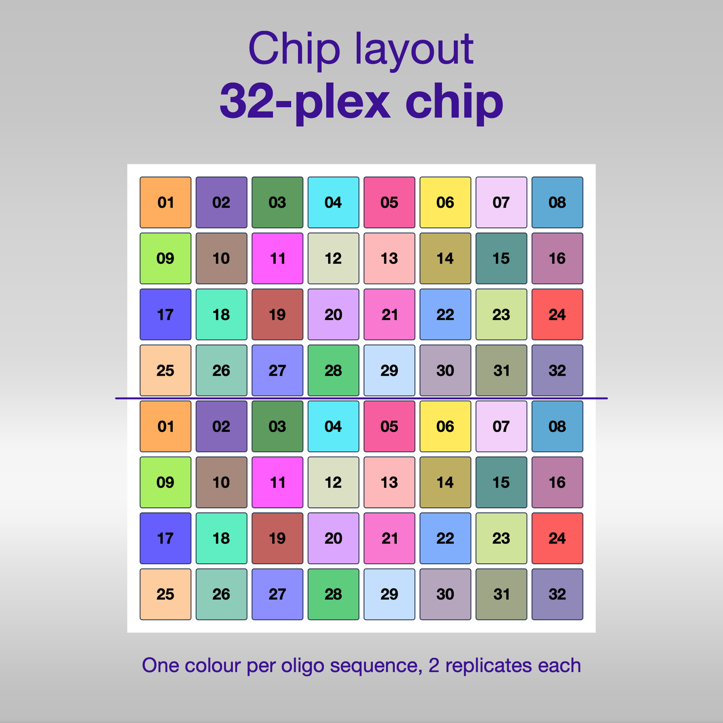 Chip layout 32-plex, one colour per oligo sequence