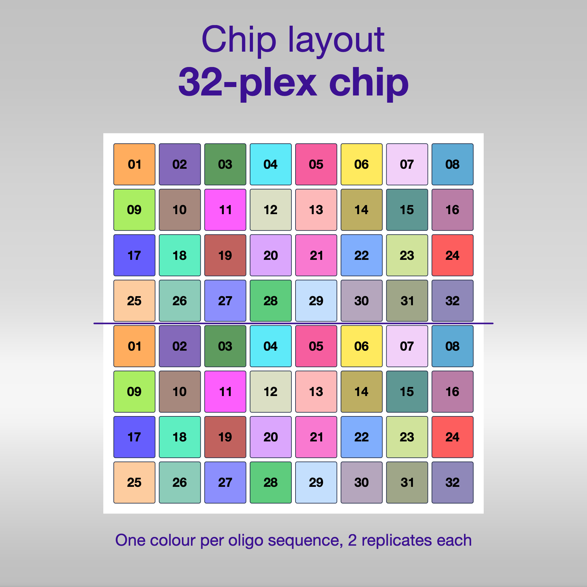 Chip layout 32-plex, one colour per oligo sequence