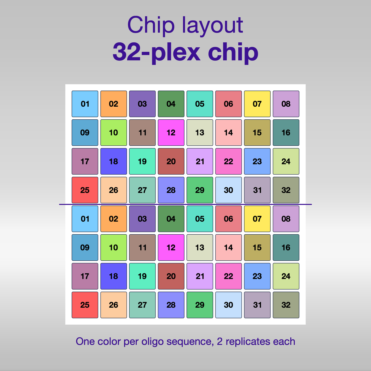 Chip layout 32-plex, one color per oligo sequence
