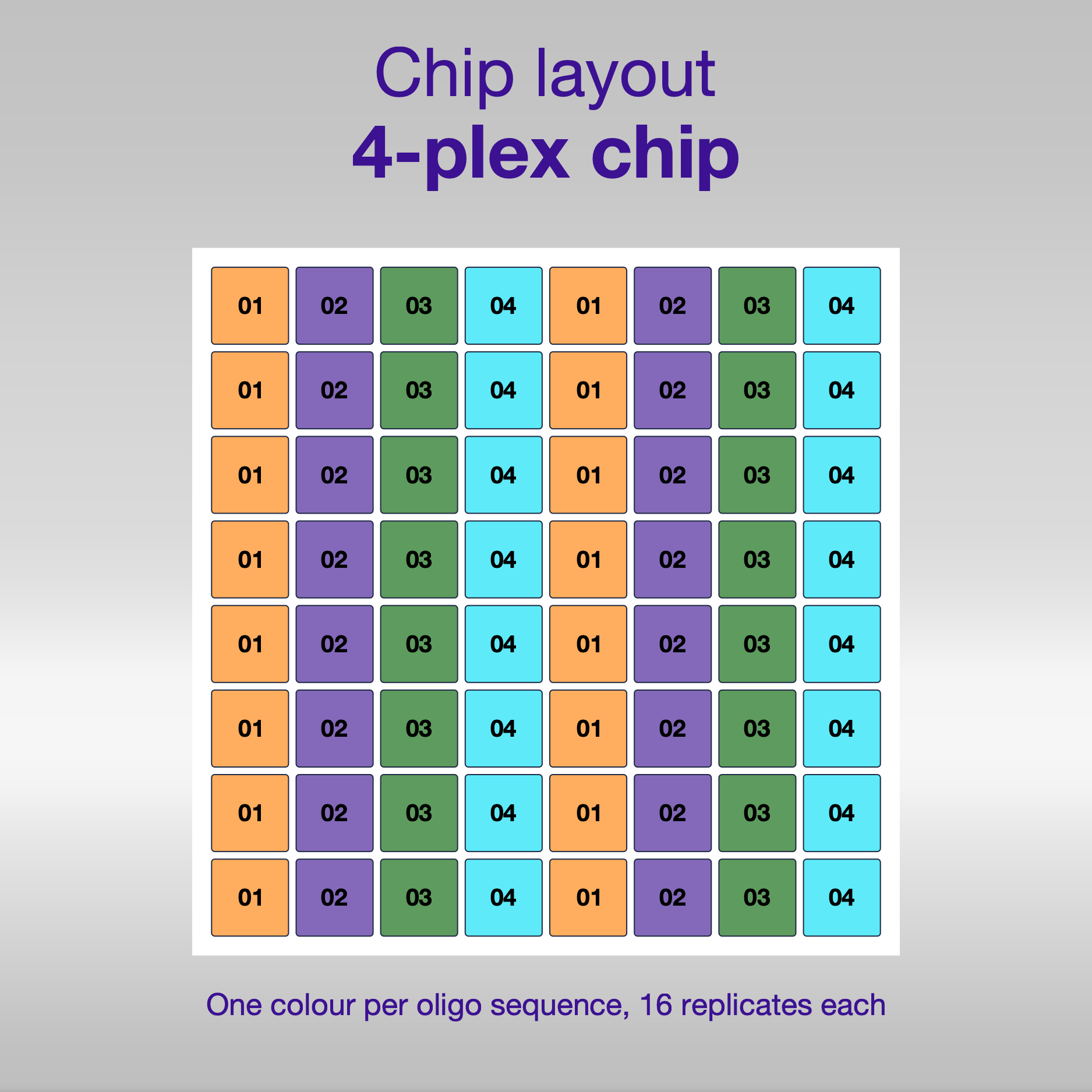 Chip layout 4-plex, one colour per oligo sequence