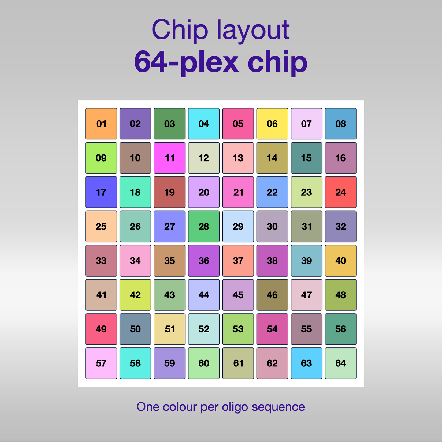 Chip layout 64-plex, one colour per oligo sequence