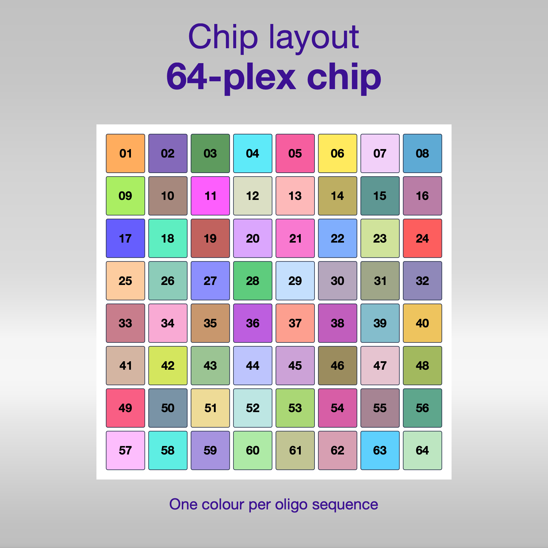 Chip layout 64-plex, one colour per oligo sequence