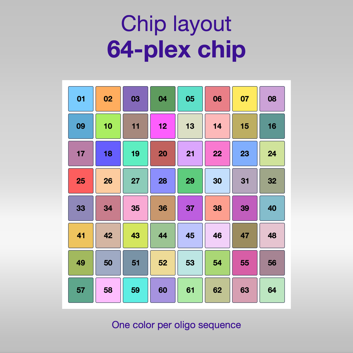 Chip layout 64-plex, one color per oligo sequence