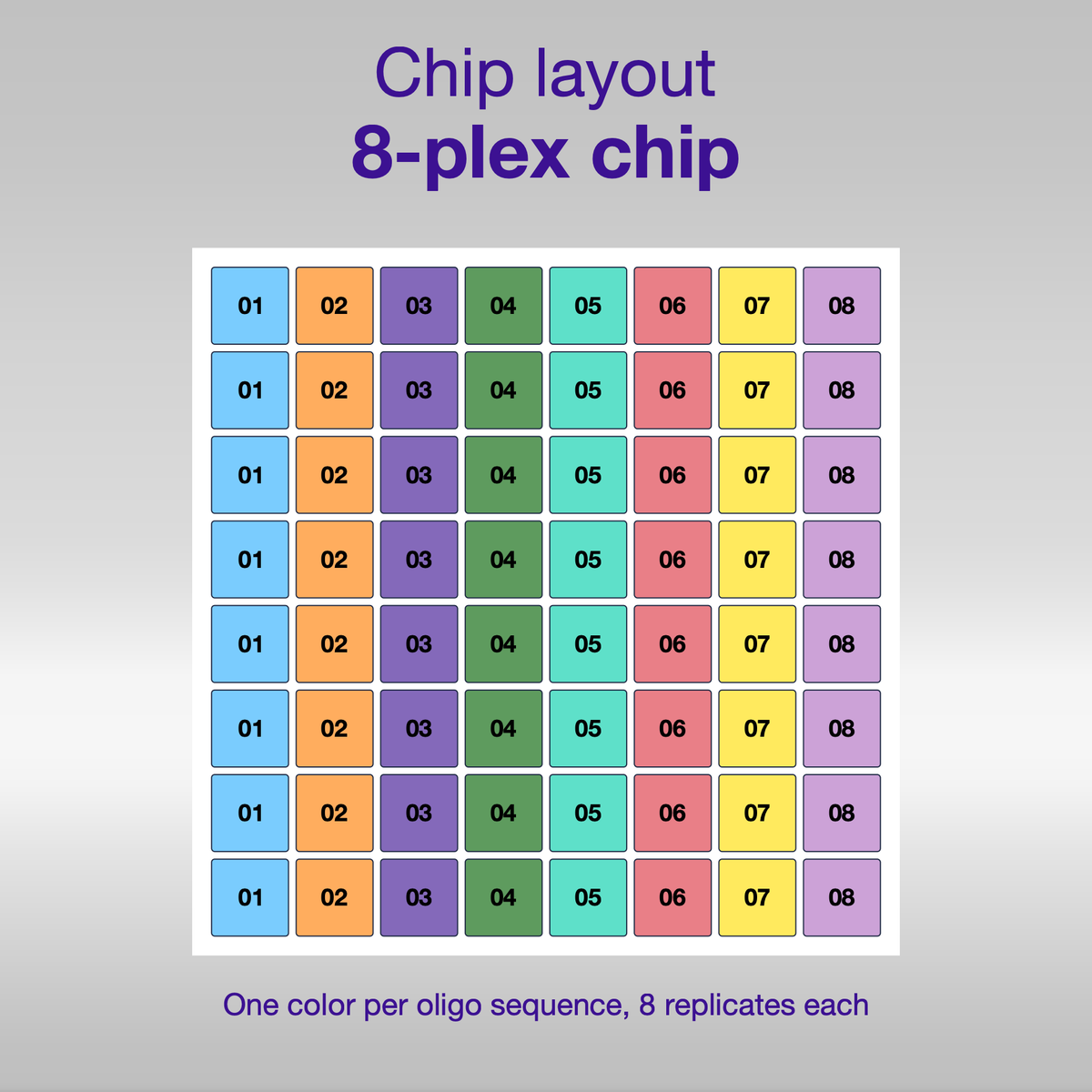 Chip layout 8-plex, sequences 1 to 8 in eight columns, 8 replicates each