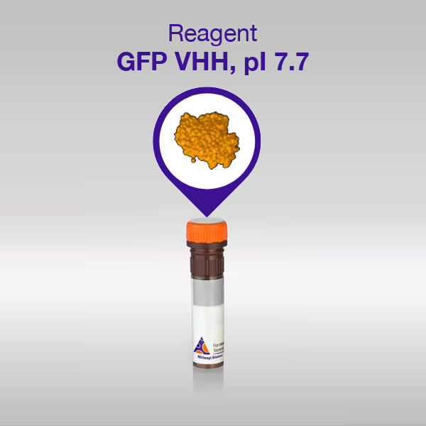 GFP VHH, pI 7.7