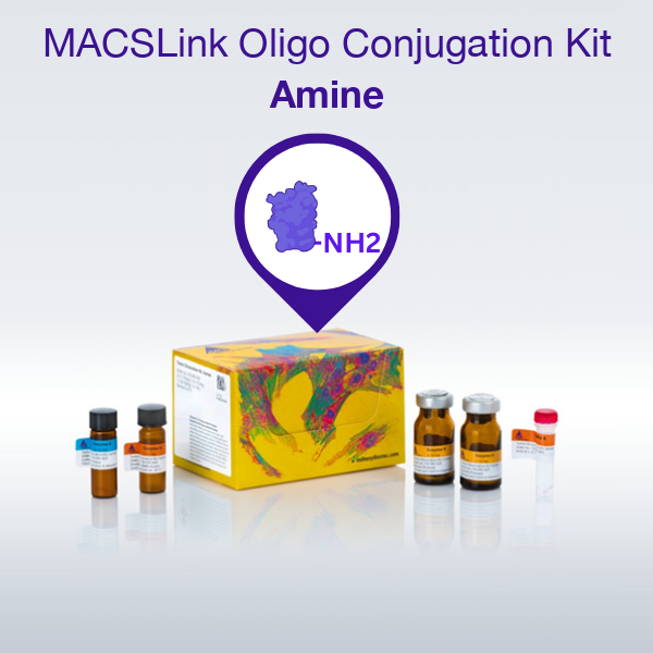 MACSLink Oligonucleotide Conjugation Kit, Amine