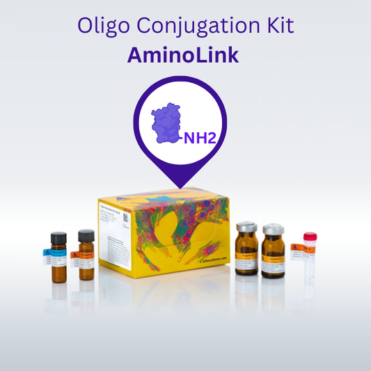 Oligonucleotide Conjugation Kit, AminoLink