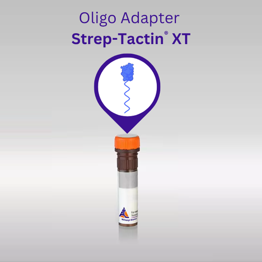Oligo Adapter Strep-Tactin® XT