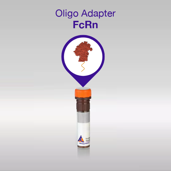 Oligo Adapter FcRn product image