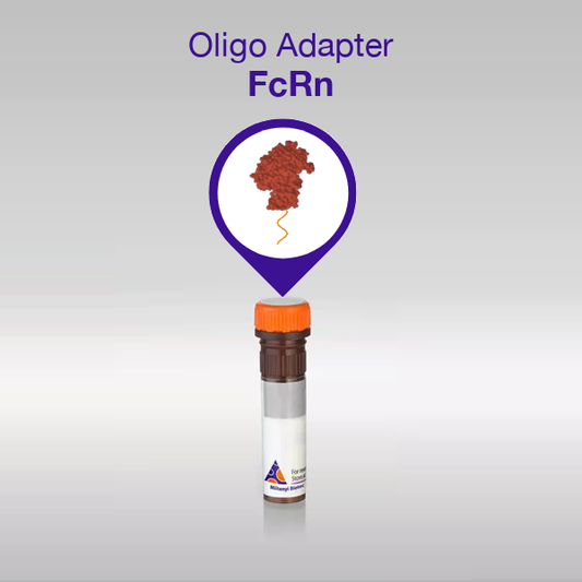 Oligo Adapter FcRn product image