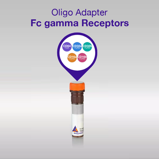Oligo Adapter Fc gamma Receptors overview
