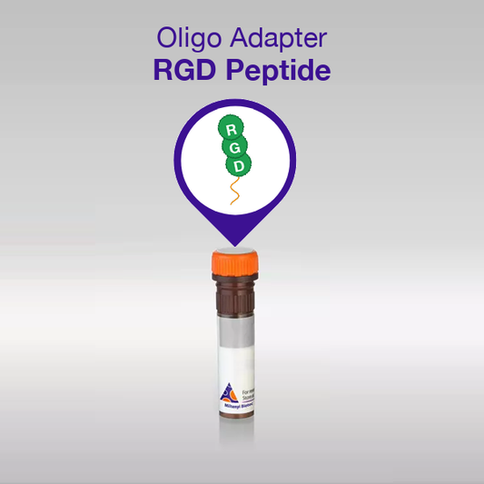 Oligo Adapter RGD Peptide product image