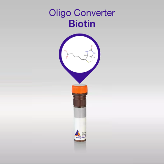 Oligo Converter Biotin