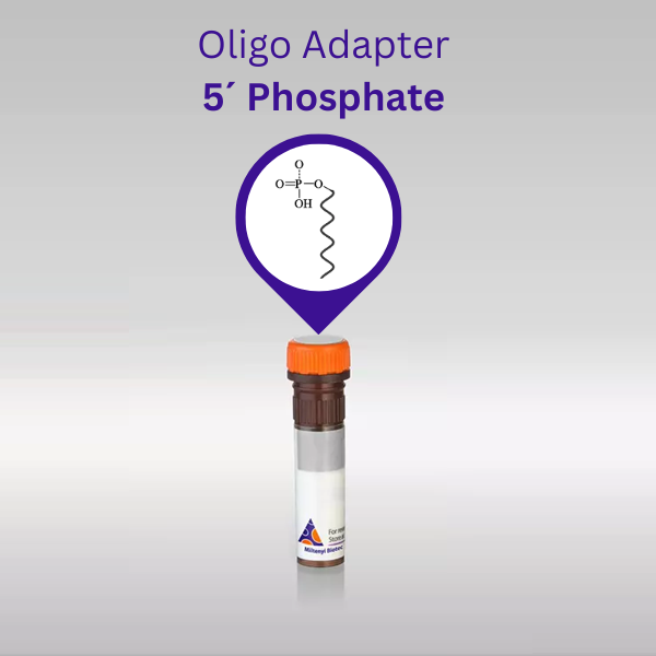 Oligonucleotide Adapter 5´Phosphate