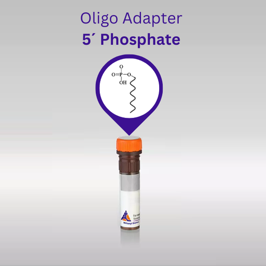 Oligonucleotide Adapter 5´Phosphate