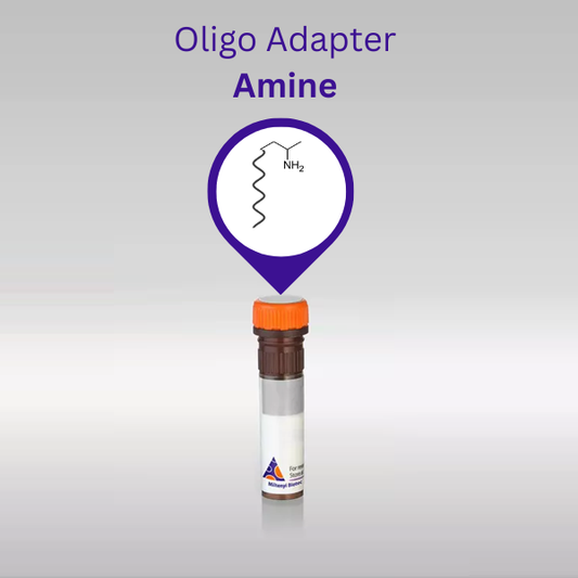 Oligo Adapter Amine