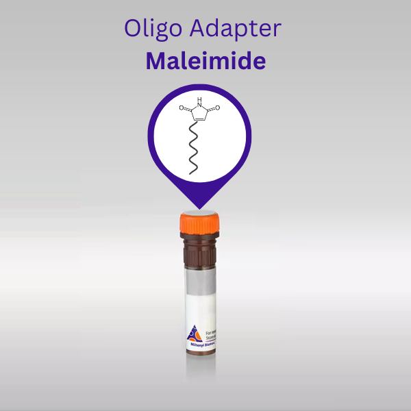 Oligo Adapter Maleimide