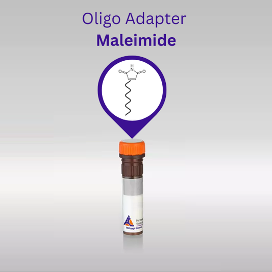 Oligo Adapter Maleimide