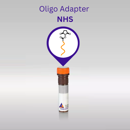 Oligo Adapter NHS