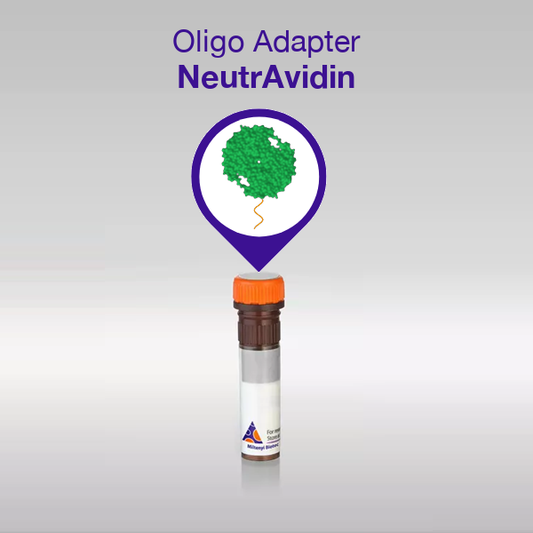 Oligo Adapter NeutrAvidin