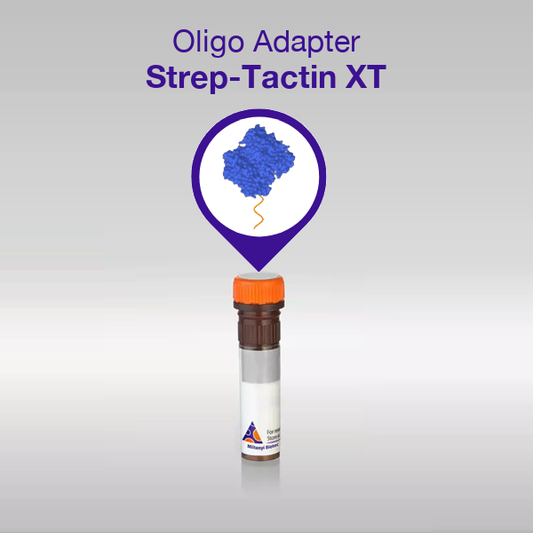 Oligo Adapter Strep-Tactin® XT