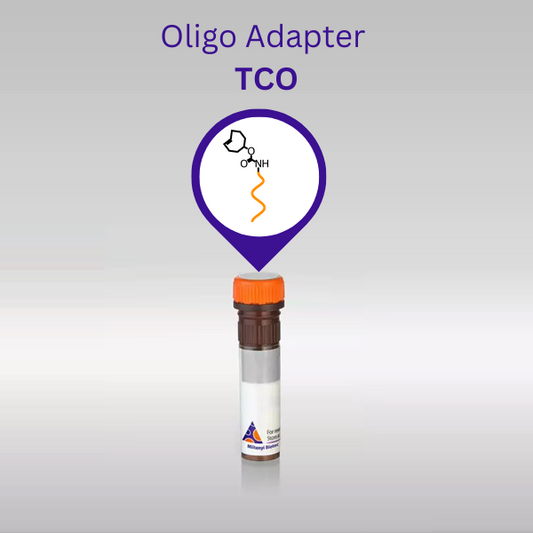 Oligo Adapter for Amine Kit