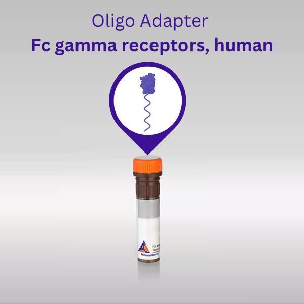 Oligo Adapter Fc gamma receptors (FcγRs)