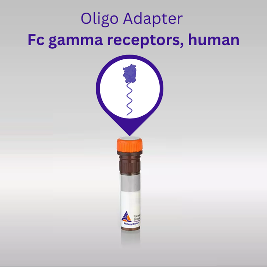 Oligo Adapter Fc gamma receptors (FcγRs)