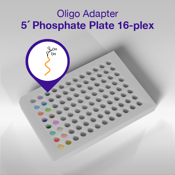 Oligo Adapter 5 Phosphate 96-well plate, 16-plex panel, 17 sequence-colored wells